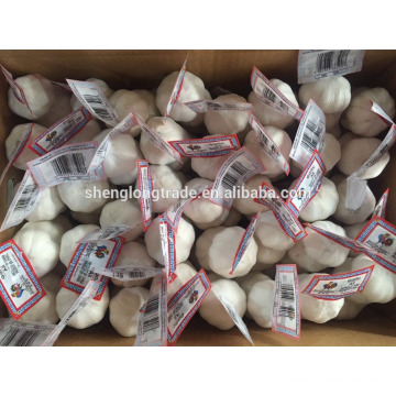 Pure white garlic 3P*80/carton China Jinxiang fresh garlic